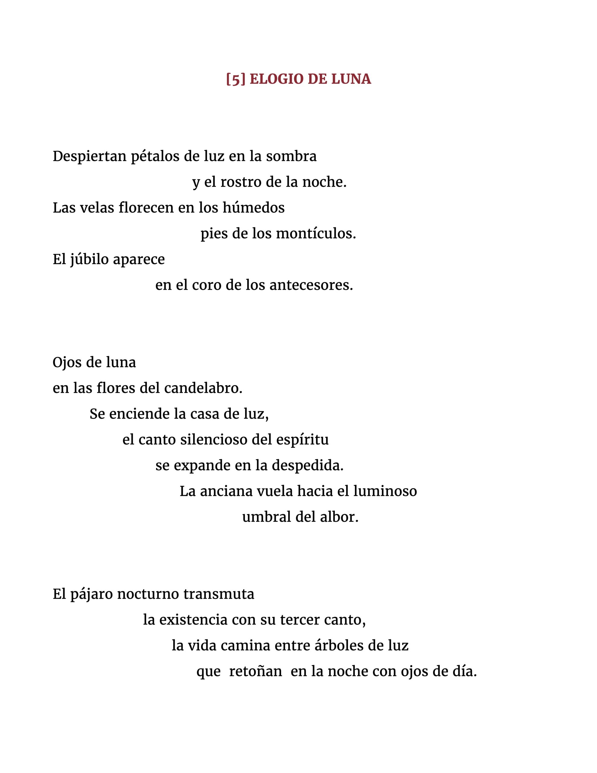 Despiertan pétalos de luz en la sombra y el rostro de la noche. Las velas florecen en los húmedos pies de los montículos. El júbilo aparece en el coro de los antecesores. Ojos de luna en las flores del candelabro. Se enciende la casa de luz, el canto silencioso del espíritu se expande en la despedida. La anciana vuela hacia el luminoso umbral del albor. El pájaro nocturno transmuta la existencia con su tercer canto, la vida camina entre árboles de luz que retoñan en la noche con ojos de día.